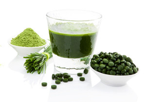 Spirulina alga