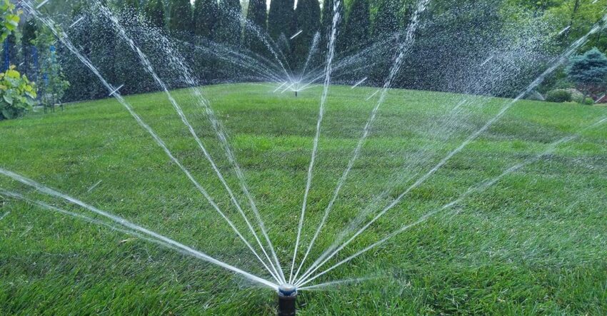 Kertépítés és öntözőrendszer telepítés szakértőtől